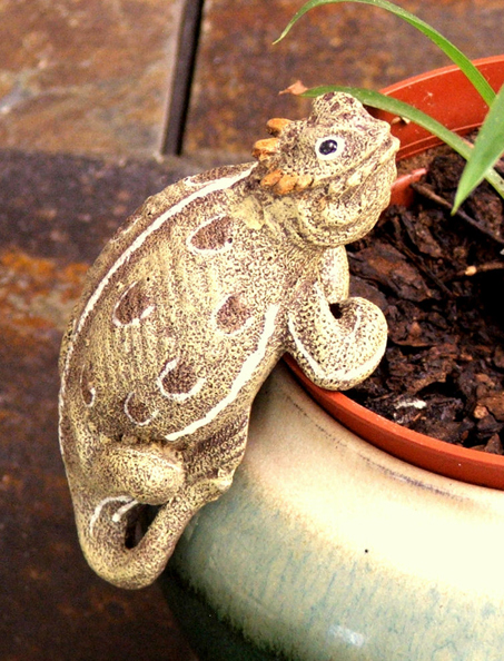 (image for) Horned Lizard Small Flower Pot Hanger
