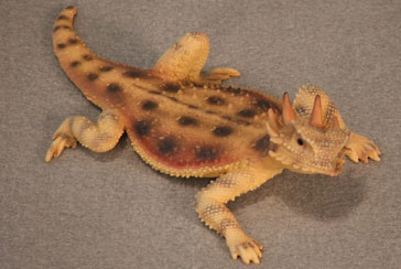(image for) Flat-Tailed Horned Lizard Hand-Painted Figurines