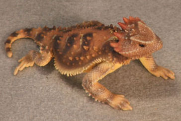 (image for) Plateau Horned Lizard Hand-Painted Figurine