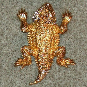 (image for) Short-Horned Lizard Gold Plated Scatter Pins