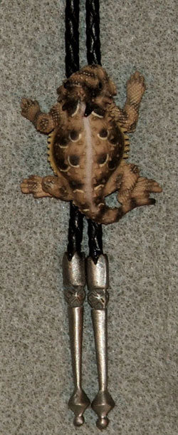 (image for) Texas Horned Lizard Hand-Painted Bolo Ties