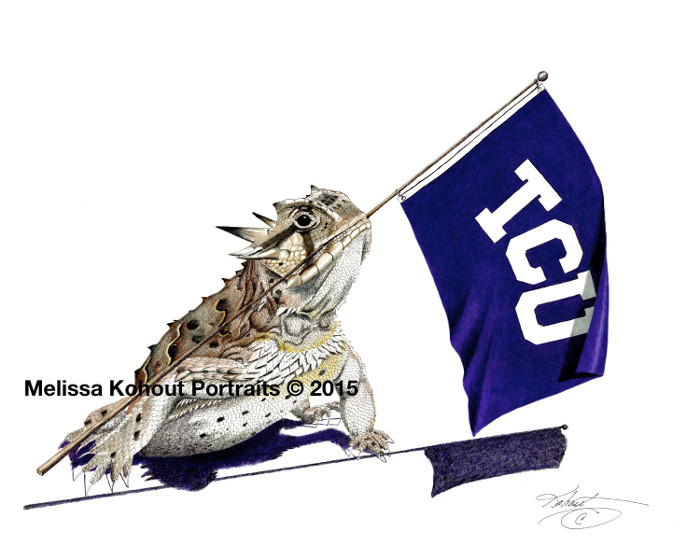 (image for) Game Day! (TCU Flag)