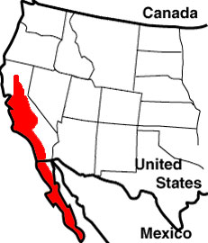 California Coast Horned Lizard Map