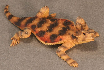 Desert Horned Lizard Hand-Painted Figurines - Click Image to Close