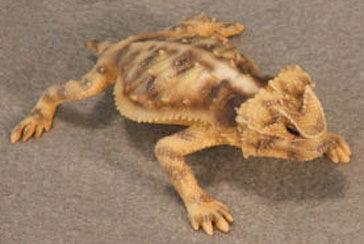 (image for) Rock Horned Lizard Hand-Painted Figurines