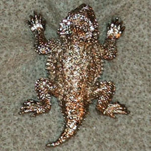 (image for) Short-Horned Lizard Nickel/Silver Plated Scatter Pins