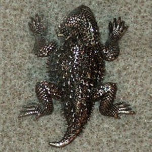 (image for) Short-Horned Lizard Pewter Scatter Pins